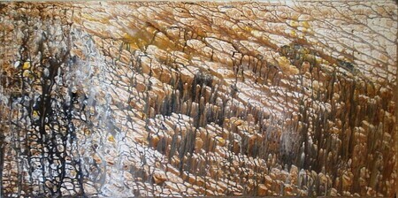 Canyon   18 in x 36 in